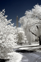 Washington DC in Infrared
